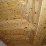 Meli in fiore Val Venosta